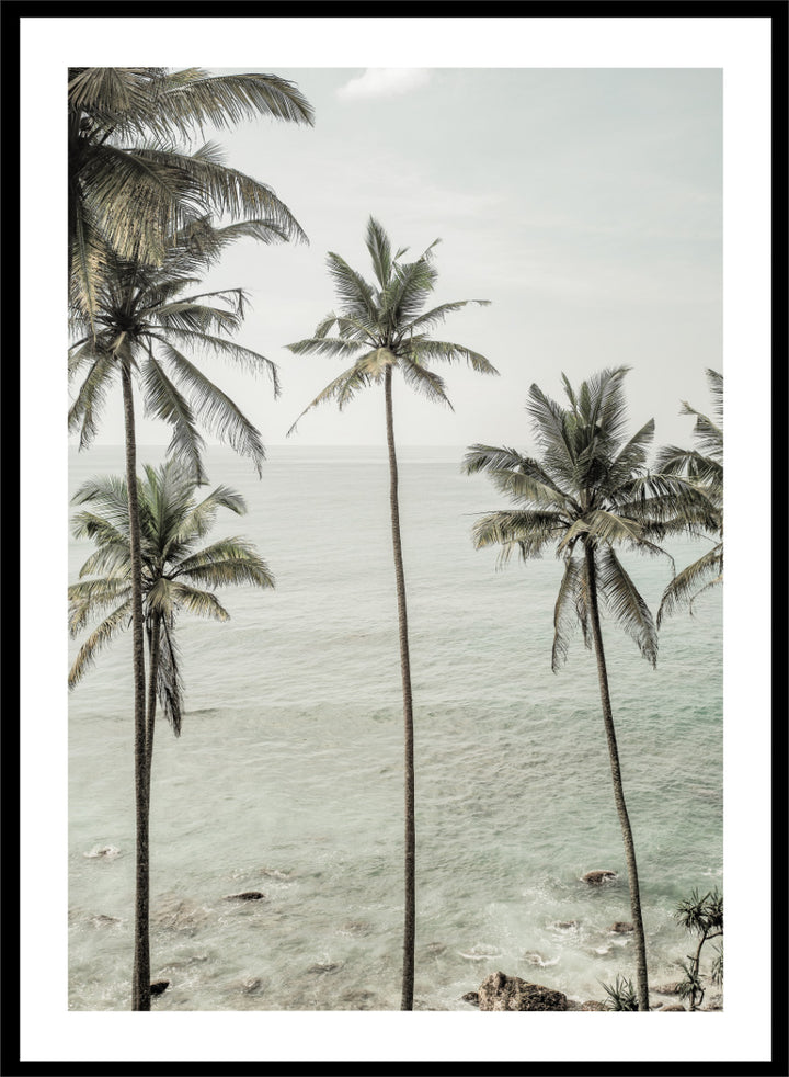 A framed photographic print of tropical coconut palm trees along a calm sea coastline. Tropical Dreams by Shot by Clint coastal photography print featuring tall palm trees, soft ocean waves, and muted tropical tones.