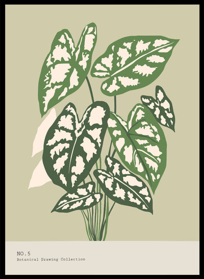Caladium Leaves Wall Art Print | Hand Drawn Contemporary Botanical Illustration, Modern Aesthetic Plant Poster, Tropical Leaf Decor