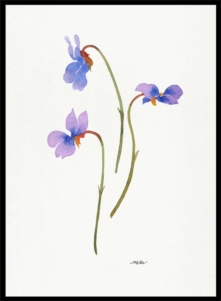 NKTN - Delicate Purple Violets Art Print