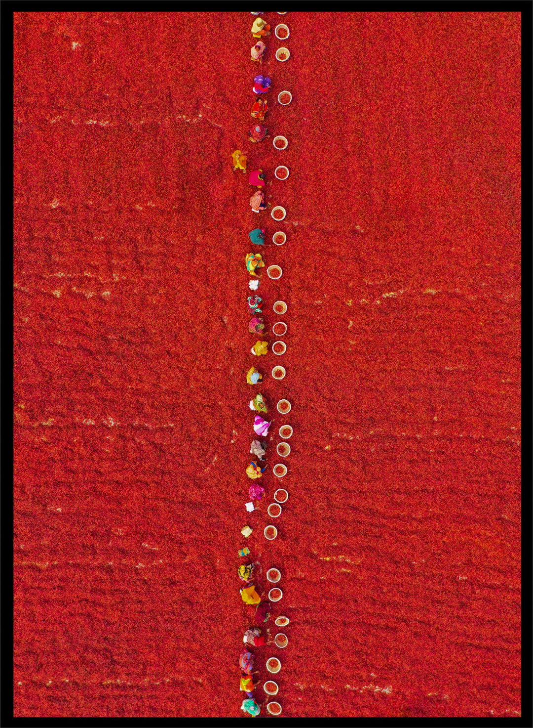 Pickers Sorting Chillies by Azim Khan Ronnie aerial photography print showing workers in red chilli fields Bangladesh, cultural documentary wall art poster