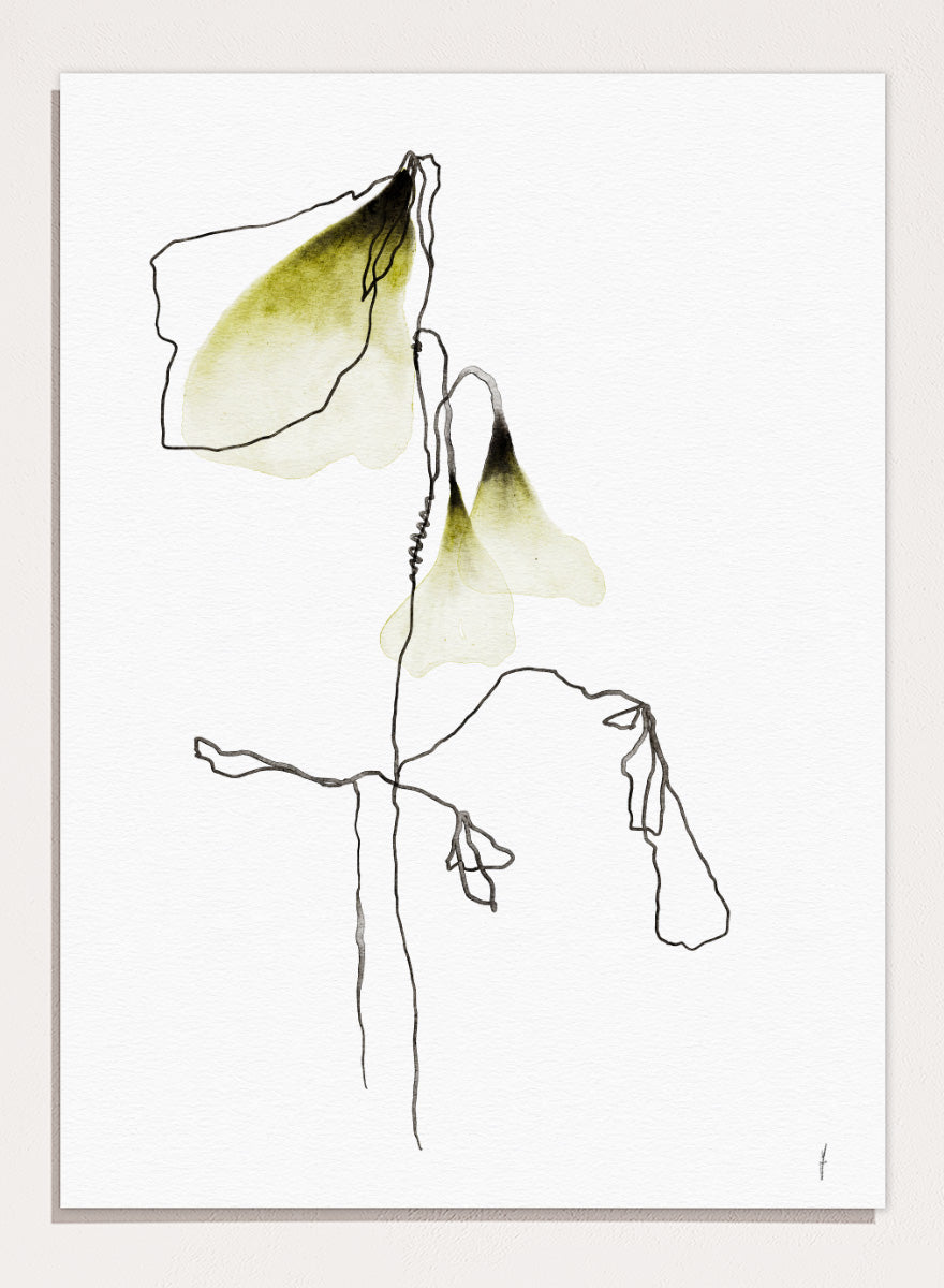 Shop Delicate Olive Blooms by Ankie Kooi, a botanical wall art print poster with abstract floral line art, watercolor flowers, green, cream, and black.