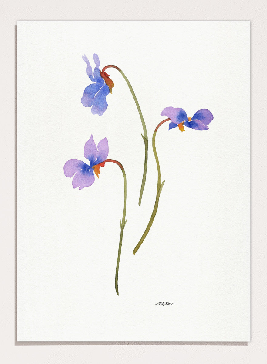 NKTN - Delicate Purple Violets Art Print