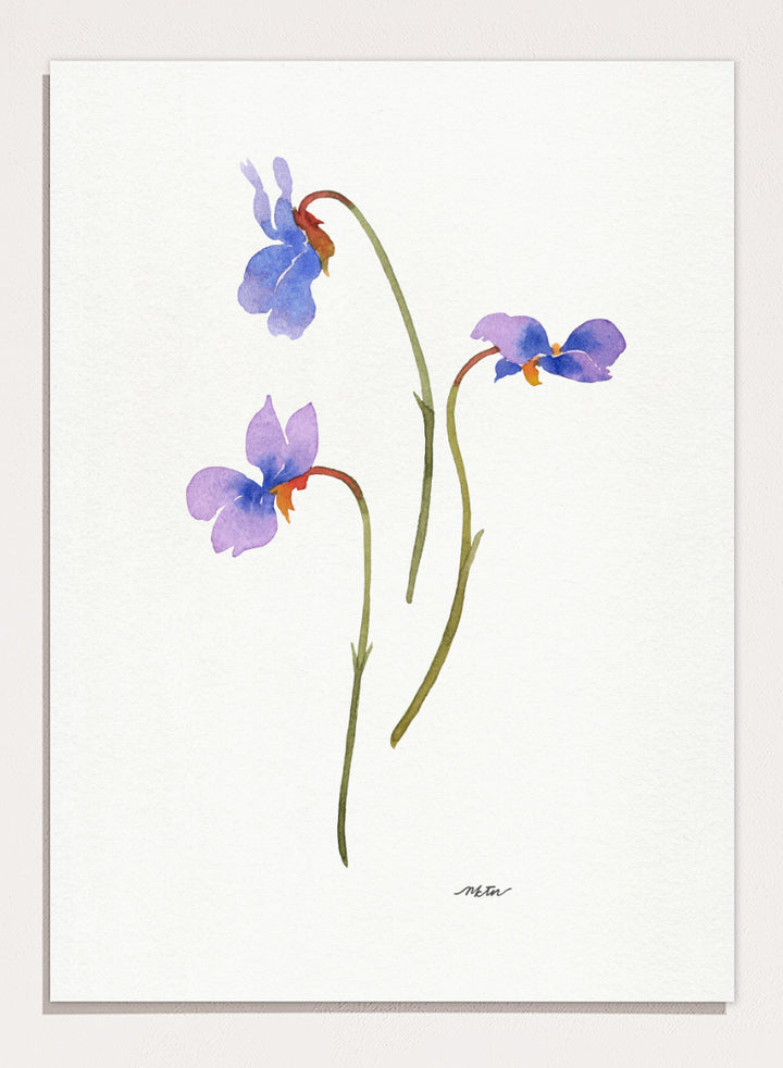 NKTN - Delicate Purple Violets Art Print