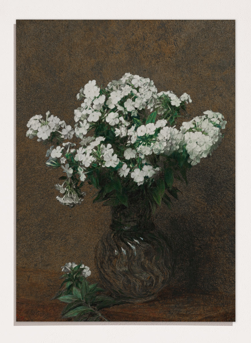 Shop White Phlox in a Vase by Henri Fantin-Latour, a vintage floral wall art print poster featuring a full bouquet of white phlox against a rich brown background.