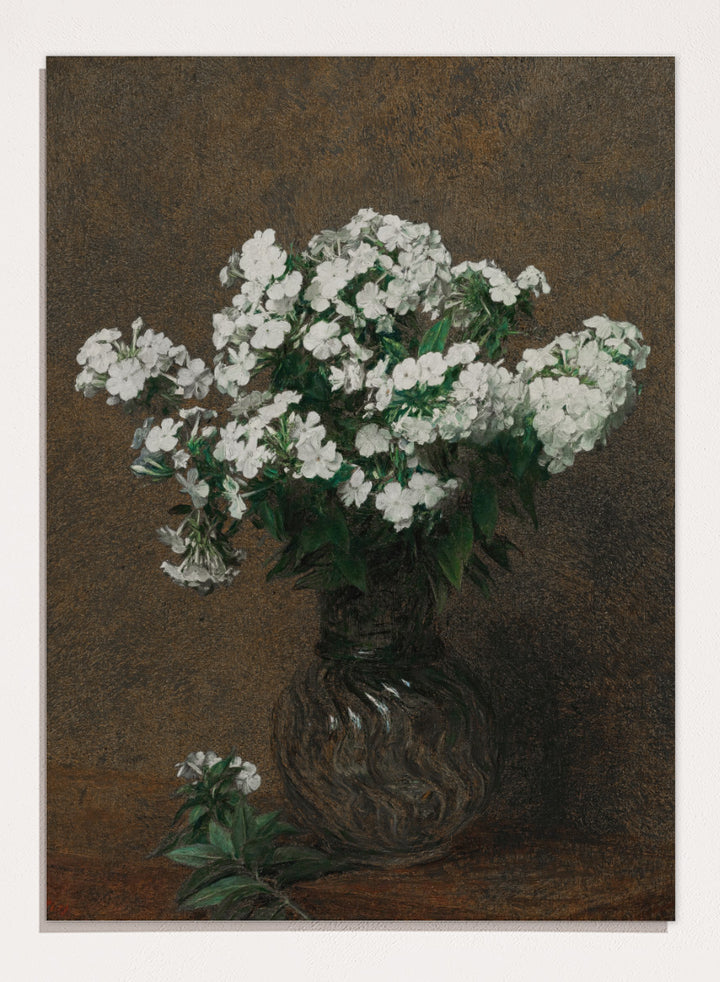 Shop White Phlox in a Vase by Henri Fantin-Latour, a vintage floral wall art print poster featuring a full bouquet of white phlox against a rich brown background.