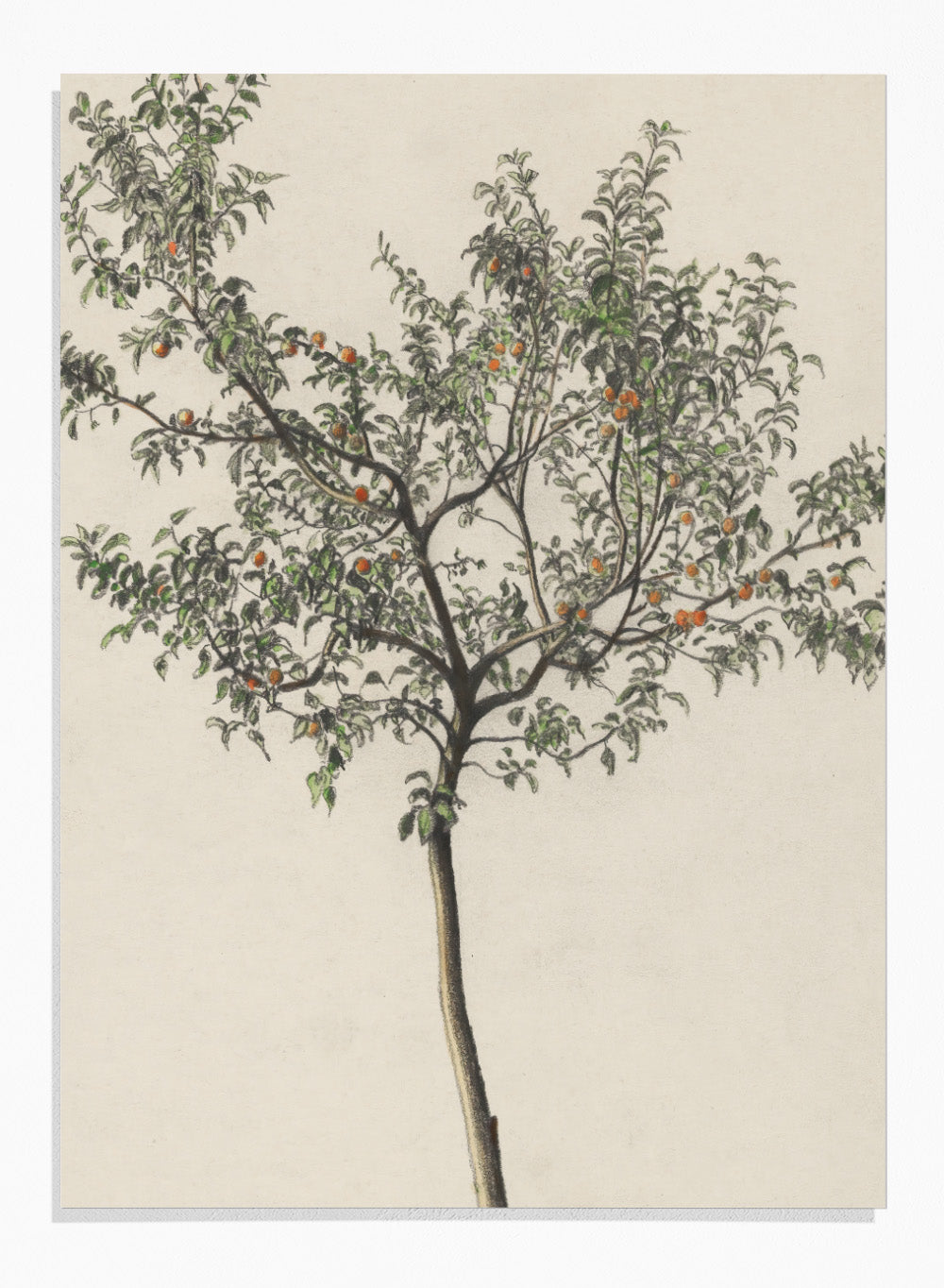"Fruit Tree" Art Print