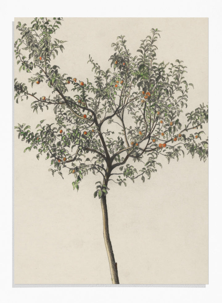 "Fruit Tree" Art Print