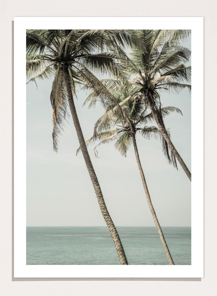 A framed art print featuring three leaning palm trees against a pale sky and ocean horizon. Ocean Breeze Palms by Shot by Clint coastal art print featuring tall palm trees, soft blue ocean views, and an airy tropical landscape.