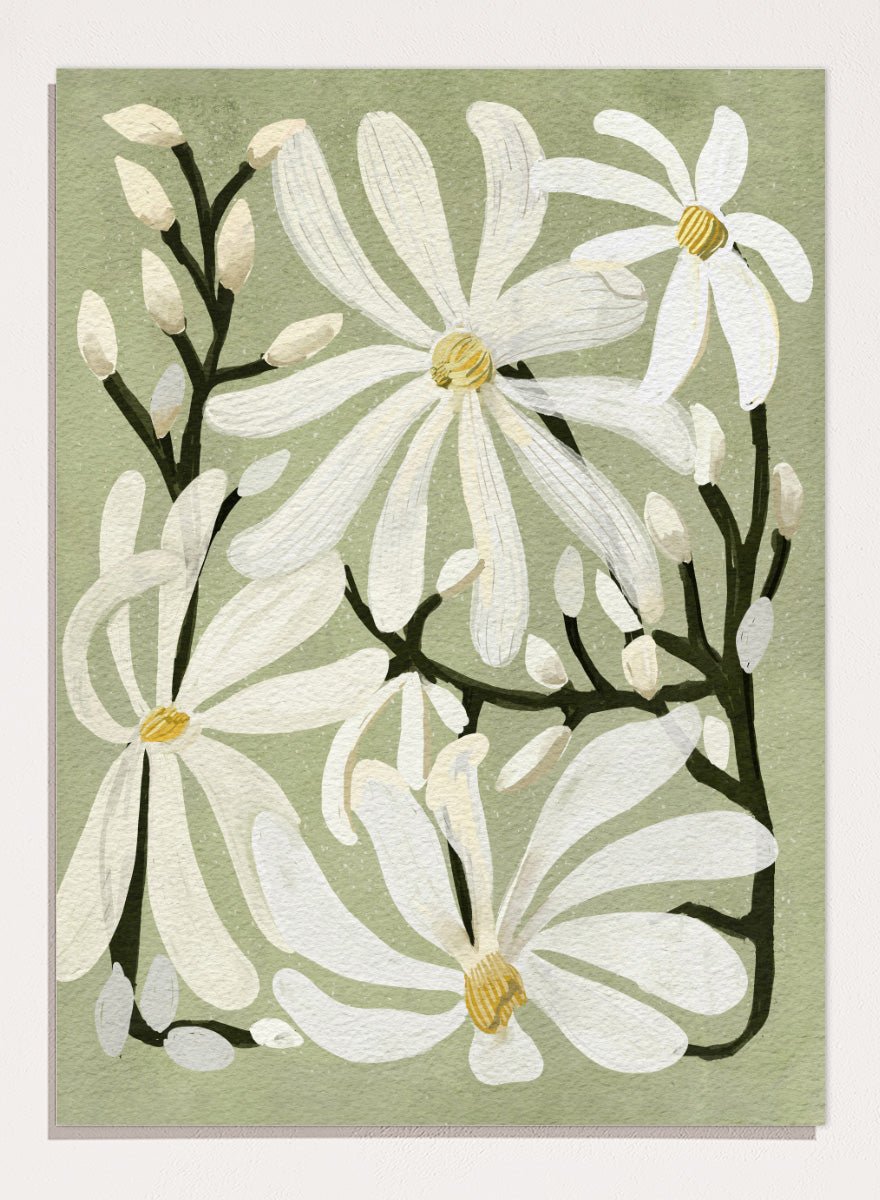 A botanical art print featuring white magnolia flowers with yellow centers and dark green stems on a muted sage green background. Shop Star Magnolia Floral Art Print by Katie O&