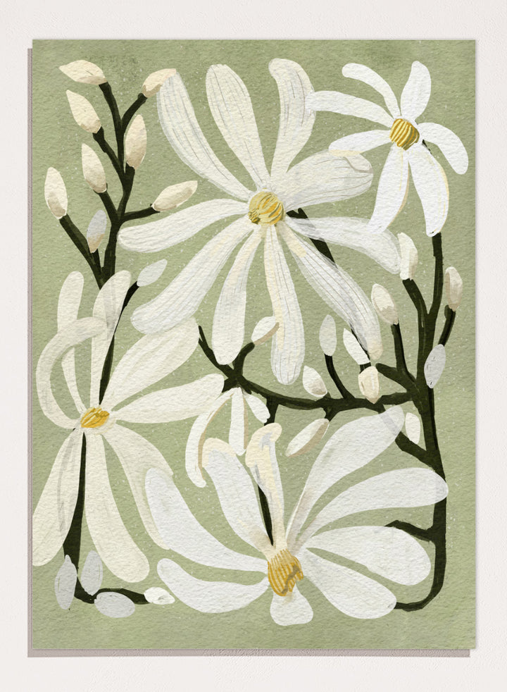 A botanical art print featuring white magnolia flowers with yellow centers and dark green stems on a muted sage green background. Shop Star Magnolia Floral Art Print by Katie O&