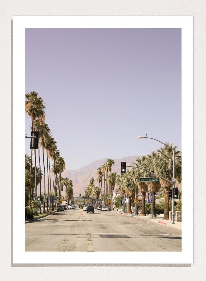 Shot by Clint - Palm-Lined Avenue Art Print