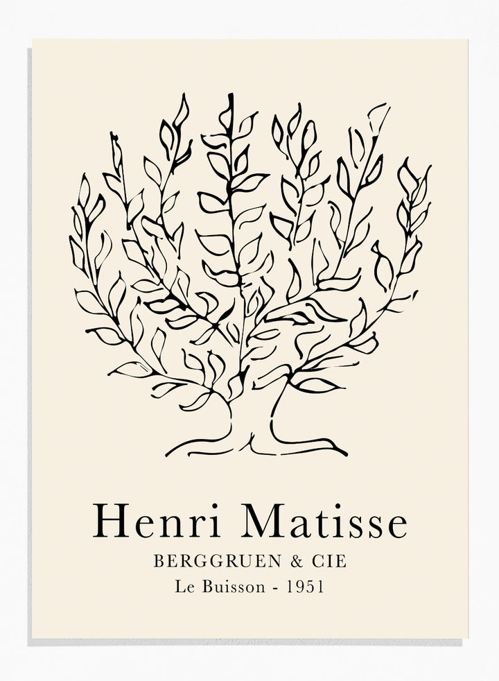 Le Buisson Tree Sketch 1951 by Henri Matisse Print