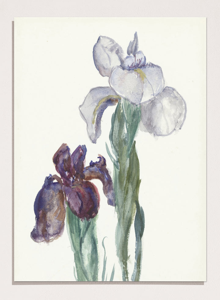 Irises by Sientje Mesdag-van Houten is a vintage botanical watercolor print of purple and white iris flowers, a soft floral piece for wall art and home decor.