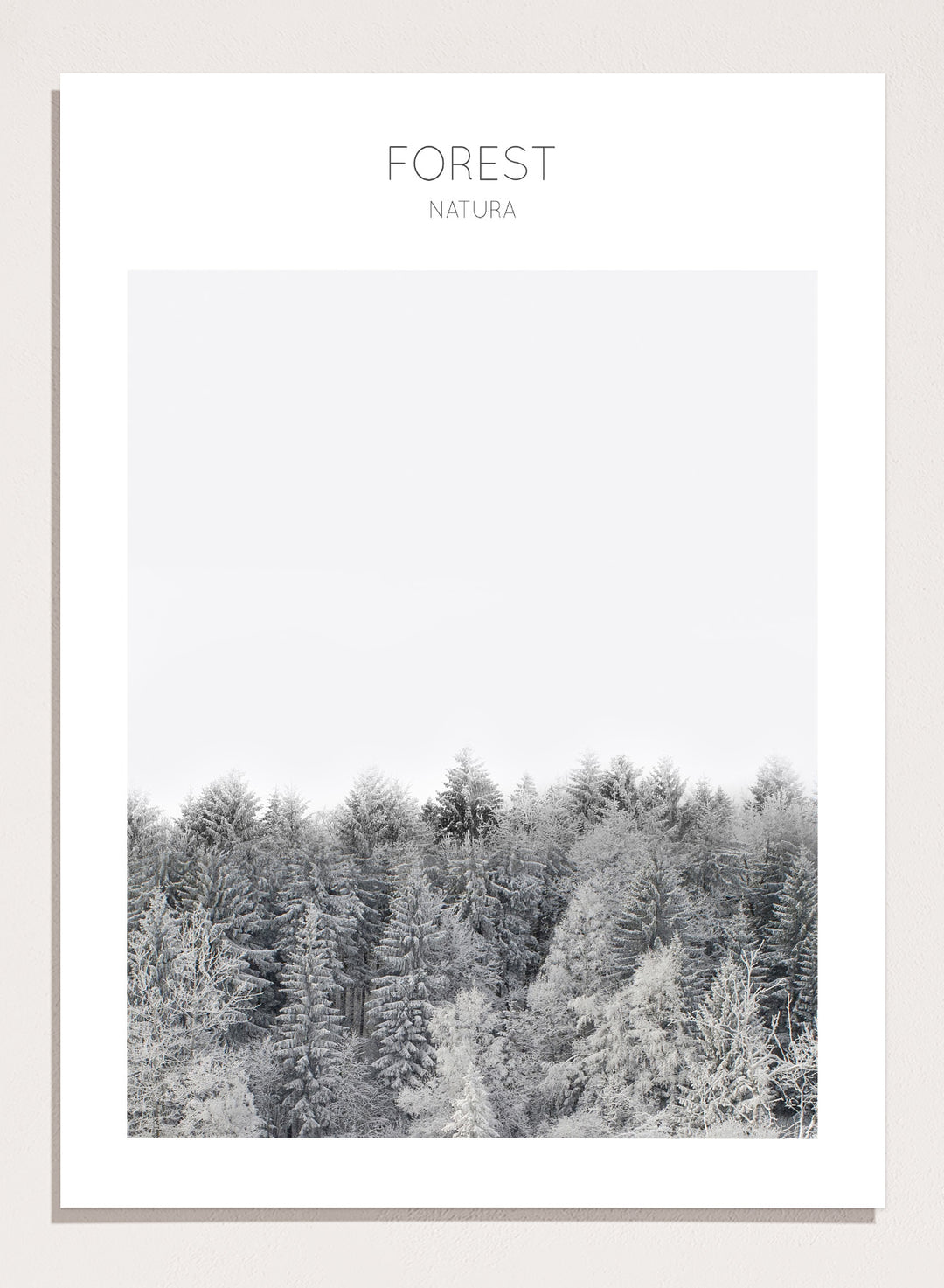 Black and white forest landscape with 'FOREST' and 'Natura' text at the top. Frosted Tranquility by The MIUUS Studio is a black and white forest photography art print and wall poster featuring snowy trees, minimalist composition, and modern neutral design.