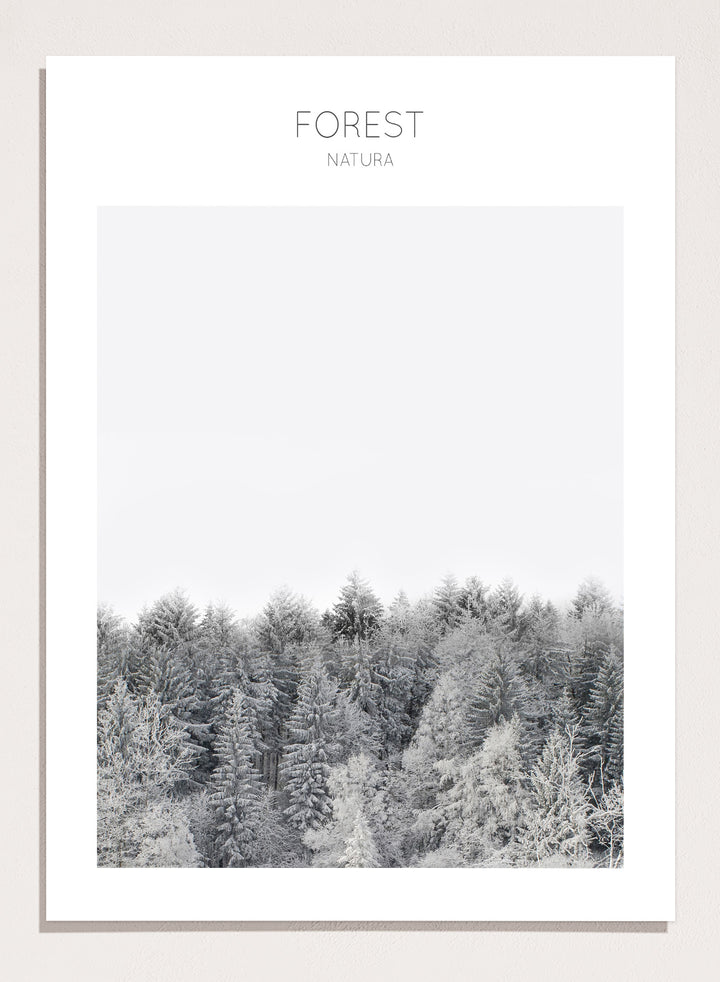 Black and white forest landscape with 'FOREST' and 'Natura' text at the top. Frosted Tranquility by The MIUUS Studio is a black and white forest photography art print and wall poster featuring snowy trees, minimalist composition, and modern neutral design.