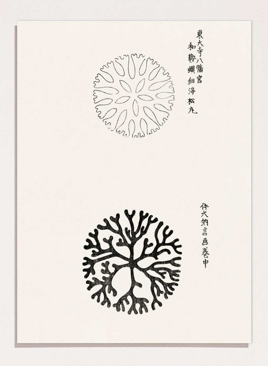 Mirumaru Yatsuo no Tsubaki by Taguchi Tomoki is a vintage Japanese woodblock art print featuring the traditional Mirumaru seaweed motif and original Japanese script.
