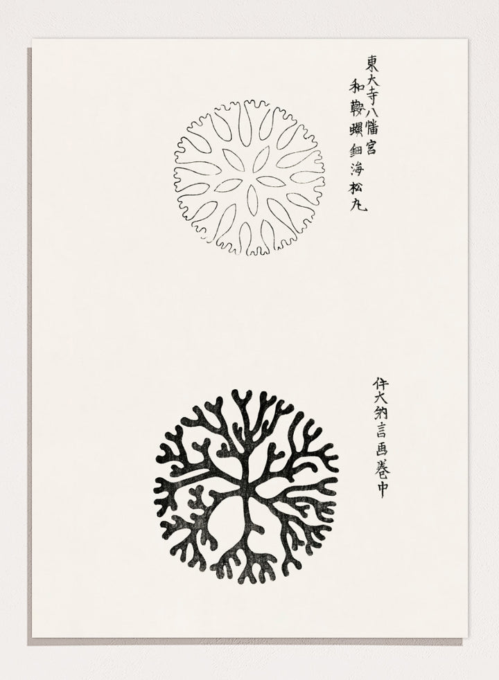 Mirumaru Yatsuo no Tsubaki by Taguchi Tomoki is a vintage Japanese woodblock art print featuring the traditional Mirumaru seaweed motif and original Japanese script.