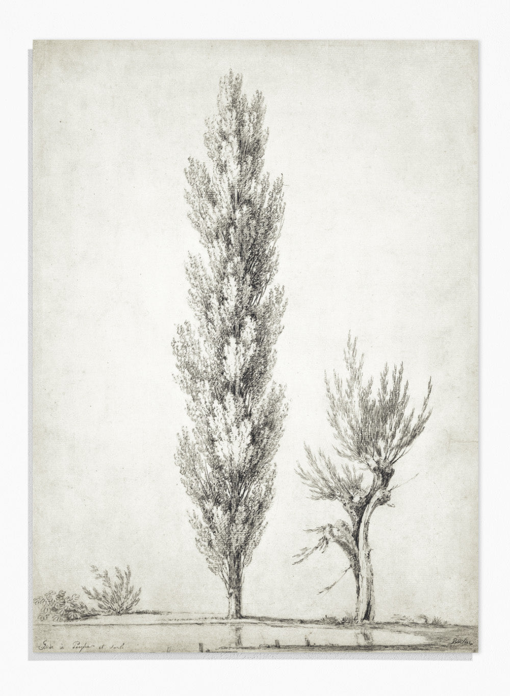 "Landscape with a Poplar and a Willow Tree" Art Print