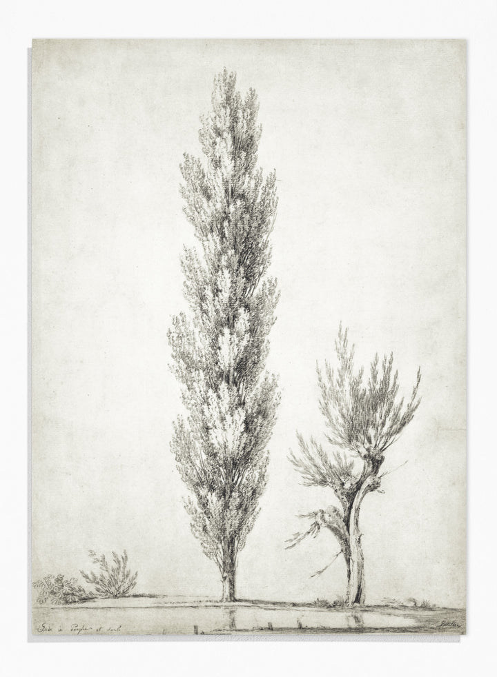 "Landscape with a Poplar and a Willow Tree" Art Print