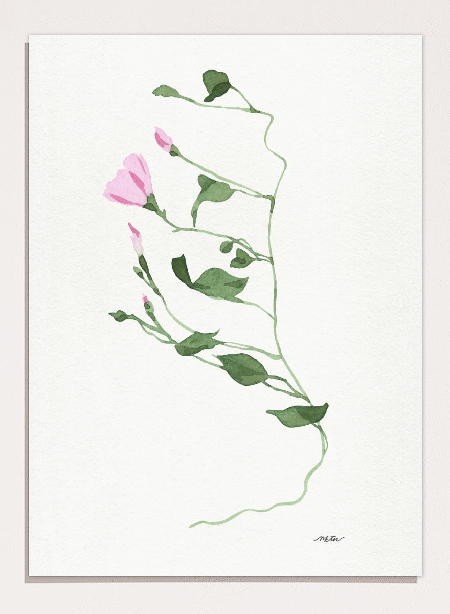 Shop Graceful Pink Stem by NKTN, a botanical wall art print poster featuring a delicate climbing vine, soft pink flowers, and minimalist watercolor style.