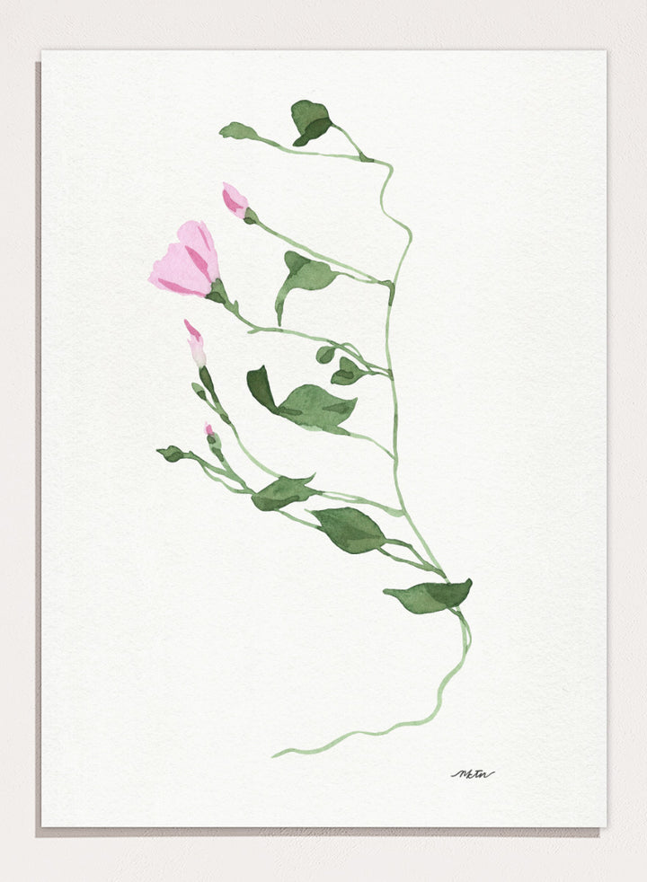 Shop Graceful Pink Stem by NKTN, a botanical wall art print poster featuring a delicate climbing vine, soft pink flowers, and minimalist watercolor style.