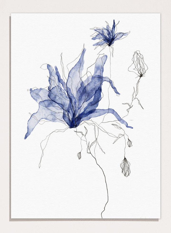 Abstract botanical art print featuring layered, semi-transparent blue flower silhouettes with fine black sketch lines on a white background. Shop Indigo Watercolor Florals by Ankie Kooi, a floral wall art print poster with blue watercolor flowers, botanical line art, buds, and white background.