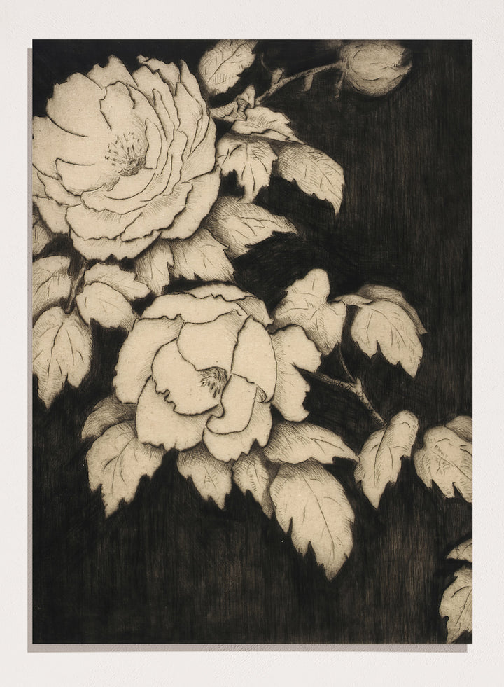 "Japanese Peonies" Art Print