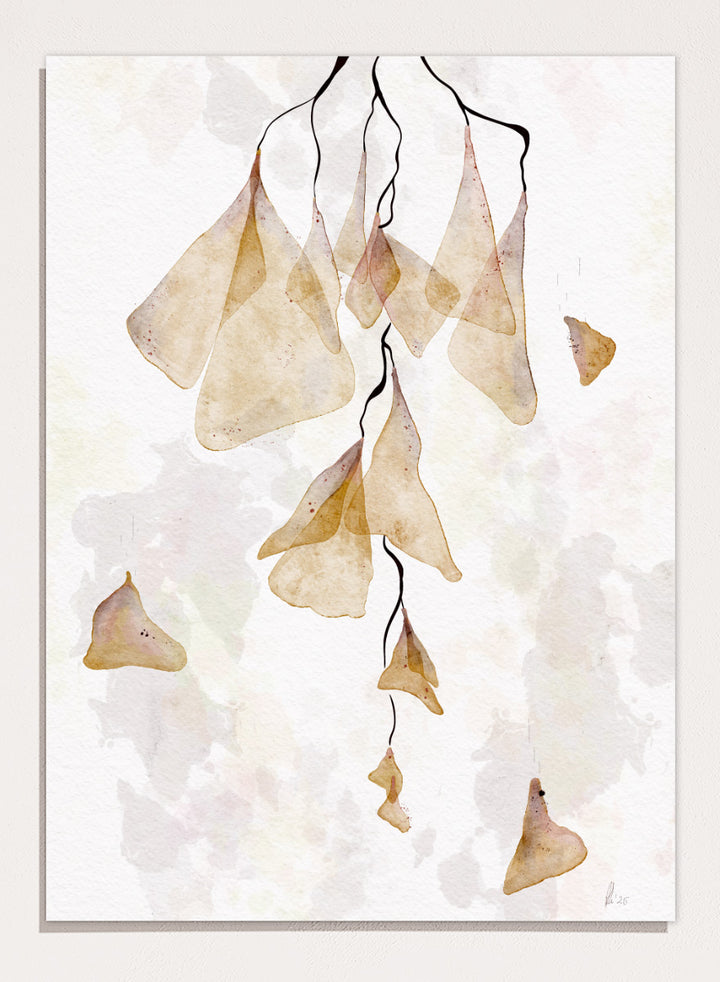 Watercolor art print featuring delicate, translucent beige and tan leaf-like shapes hanging from thin dark stems on a soft off-white background. Shop Translucent Organic Flow by Ankie Kooi, an abstract botanical wall art print poster with hanging watercolor florals, organic line art, and cream tones.