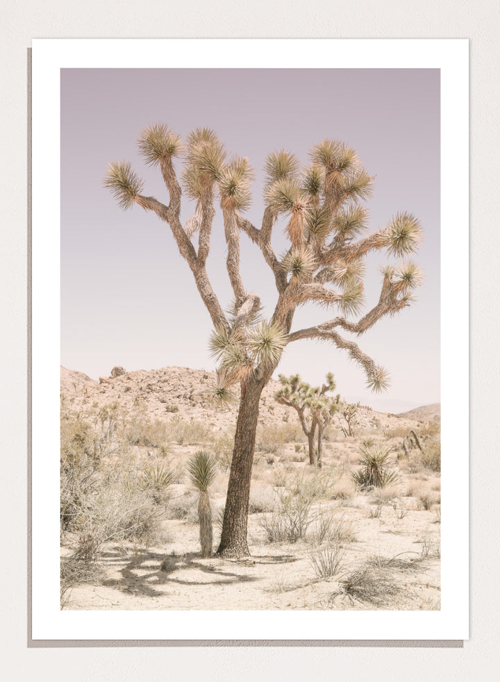 A framed art print depicting a desert landscape with a prominent Joshua tree in the foreground, set against a pale lavender sky and sandy hills. Desert Serenity by Shot by Clint features a Joshua tree desert landscape in soft earthy tones with a pale sky and calm, sun-washed atmosphere.