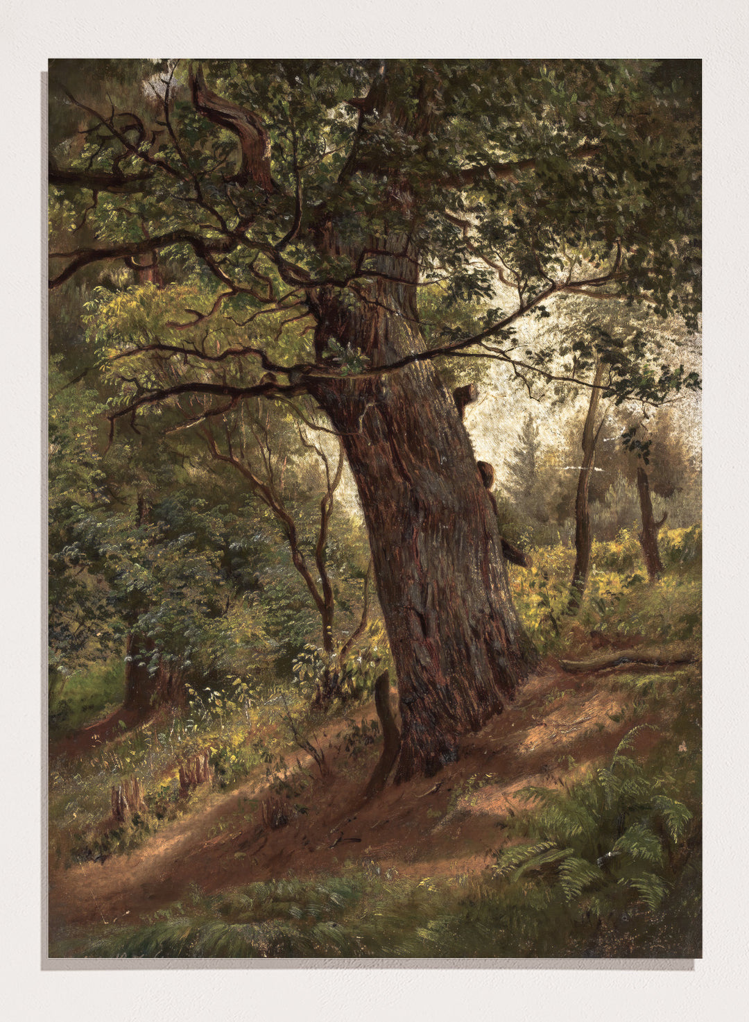"Study of a Tree" Art Print