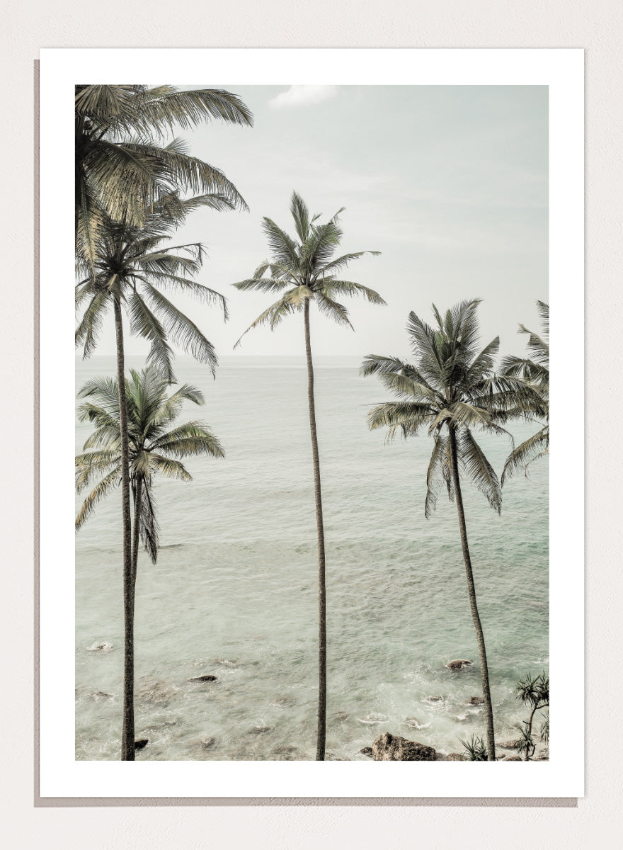 A framed photographic print of tropical coconut palm trees along a calm sea coastline. Tropical Dreams by Shot by Clint coastal photography print featuring tall palm trees, soft ocean waves, and muted tropical tones.