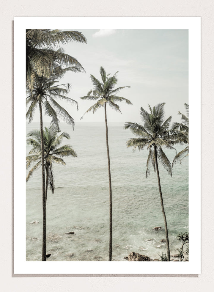 A framed photographic print of tropical coconut palm trees along a calm sea coastline. Tropical Dreams by Shot by Clint coastal photography print featuring tall palm trees, soft ocean waves, and muted tropical tones.