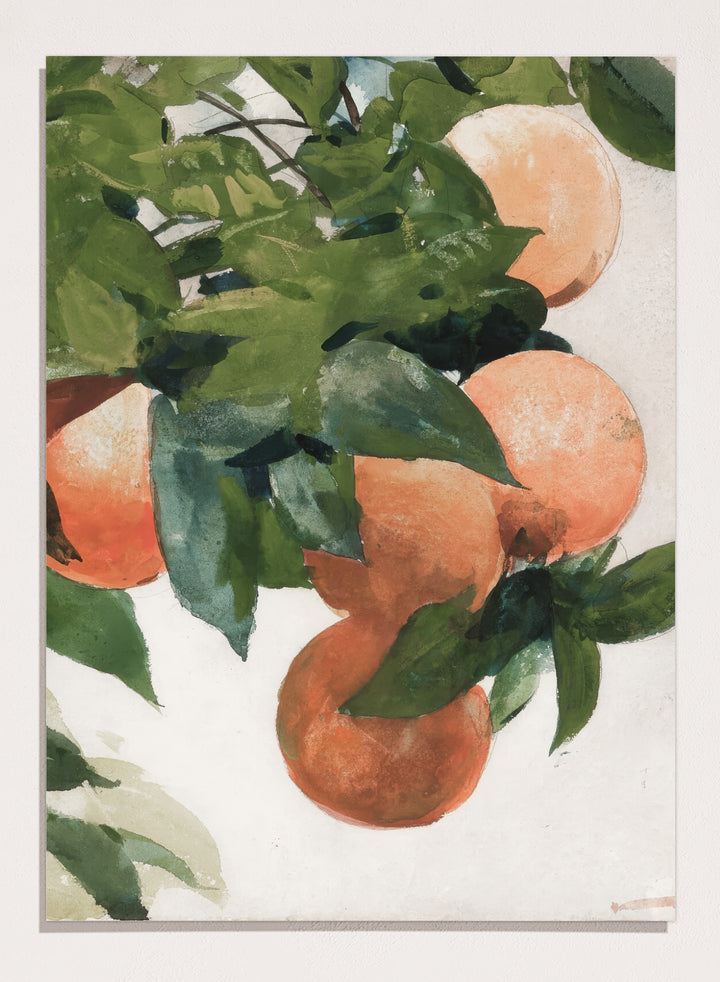 "Oranges on a Branch" Art Print