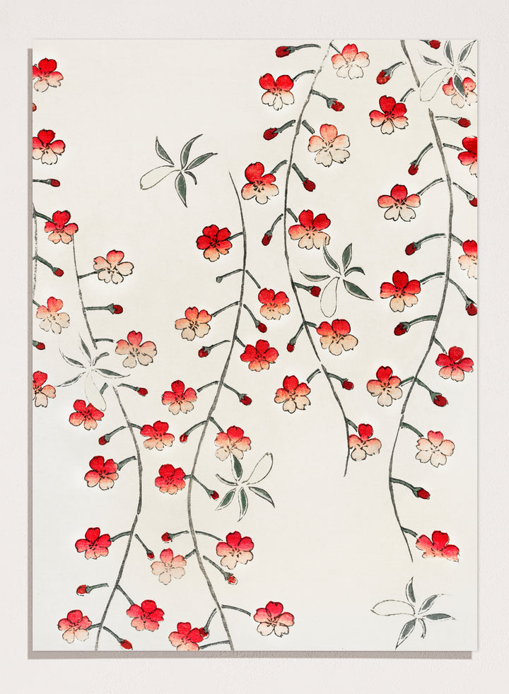 Watanabe Seitei Cherry Blossom Art Print