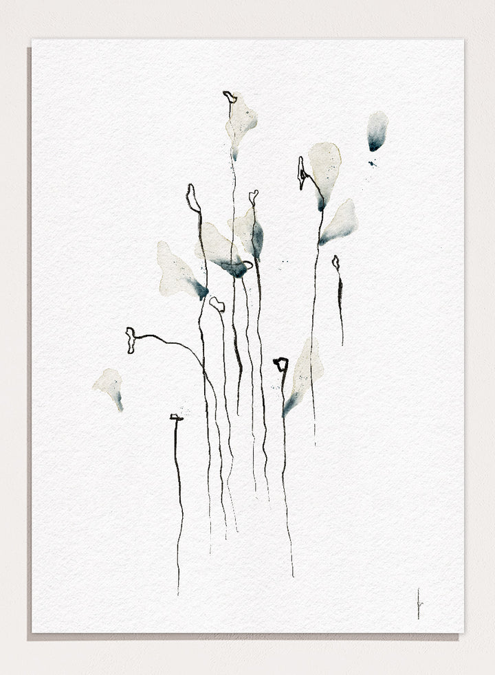 Minimalist watercolor floral art print featuring delicate calla lily-like stems and leaves in soft gray-green and black on textured white paper. Shop Delicate Abstract Flowers by Ankie Kooi, a modern floral wall art print poster with minimalist line art, abstract botanicals, soft blue, and green tones.