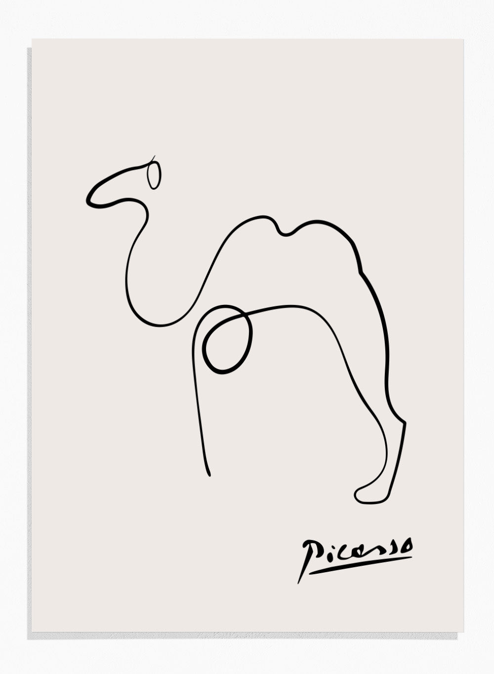 Pablo Picasso Camel Sketch Line Drawing Wall Art Print | Vintage