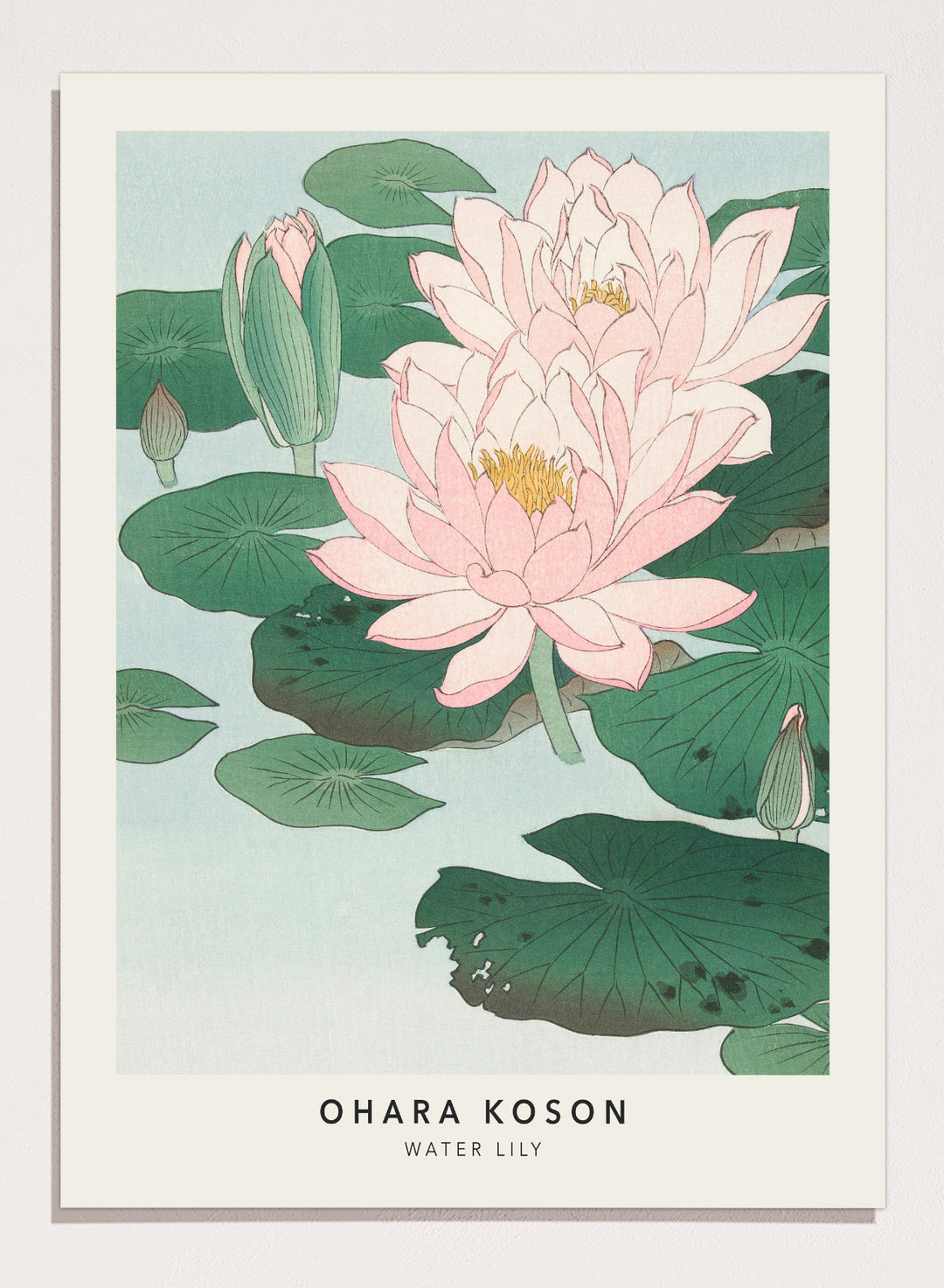 Ohara Koson "Water Lily" Art Print