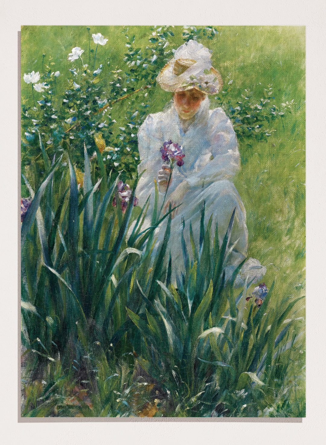 "The Iris Bed" Art Print