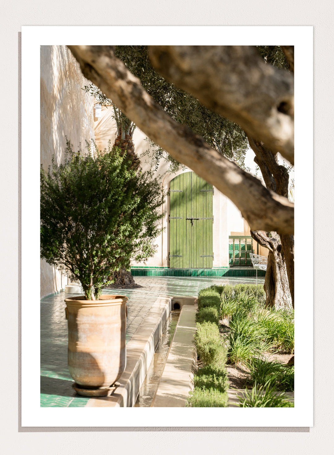 Potted plant in a garden with a green door and tree. Tranquil Garden Courtyard by Henrike Schenk is a Mediterranean photography print featuring a garden courtyard, green doorway, trees, and outdoor architecture.