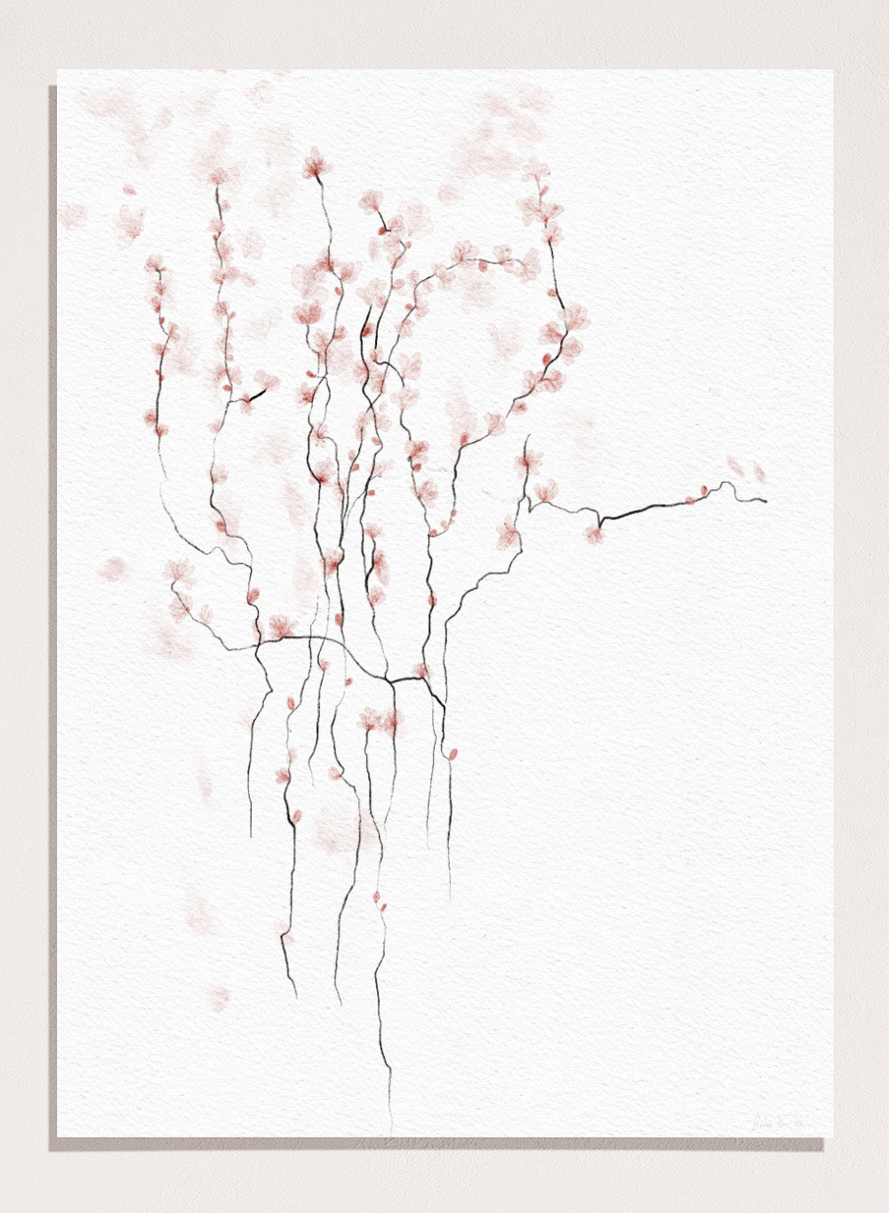 Art print of cherry blossom branches with pink flowers on a white background. Blooming Spring by Ankie Kooi art print featuring delicate pink blossoms, thin branches, watercolor florals, minimalist botanical illustration, soft nature wall poster.