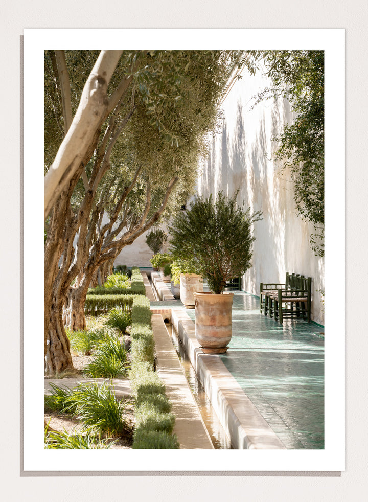 Garden pathway with trees, plants, and a building in the background. Mediterranean Garden Courtyard by Henrike Schenk is a travel photography print featuring olive trees, terracotta pots, tiled walkways, and a Moroccan garden.