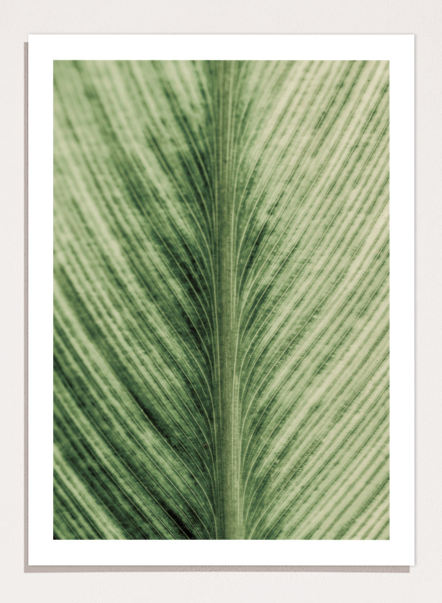 A framed botanical art print featuring a close-up photograph of a green leaf with prominent veins. Verdant Veins by Shot by Clint botanical photography print featuring detailed green leaf veins, natural texture, and layered organic pattern.