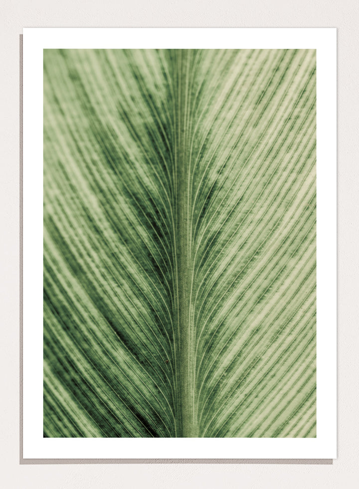 A framed botanical art print featuring a close-up photograph of a green leaf with prominent veins. Verdant Veins by Shot by Clint botanical photography print featuring detailed green leaf veins, natural texture, and layered organic pattern.