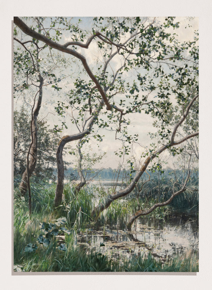 "Water Vegetation, Motif from Östergötland" Art Print