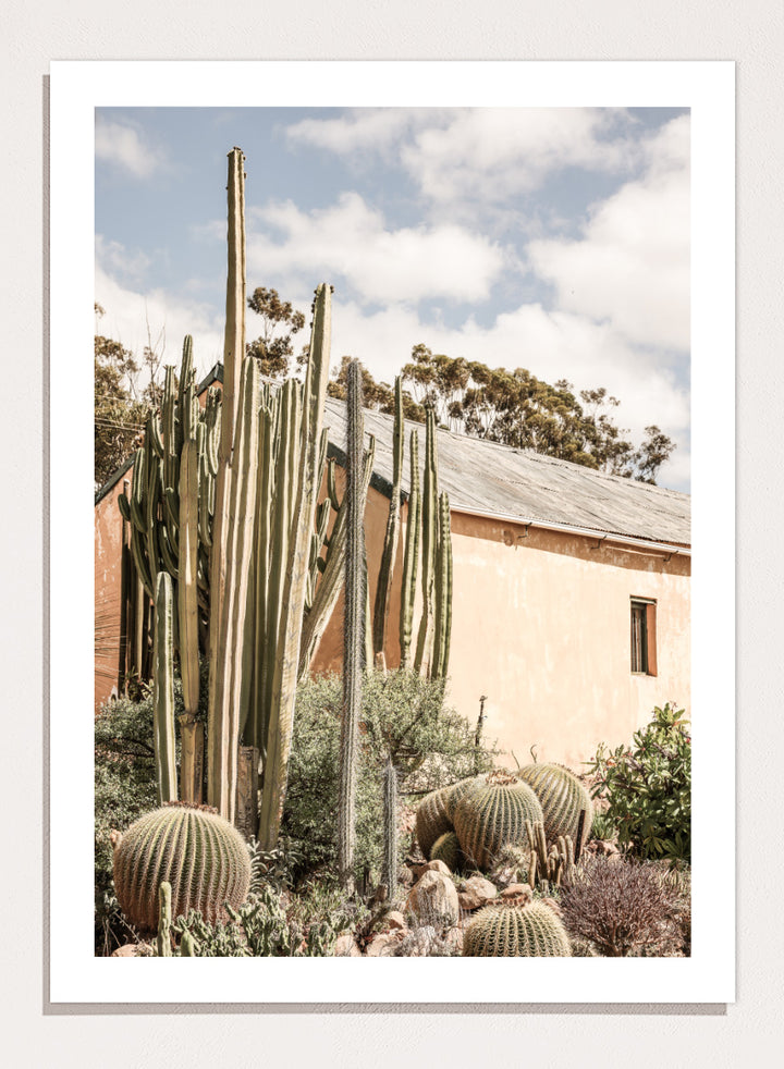 Shot by Clint - Desert Retreat Art Print