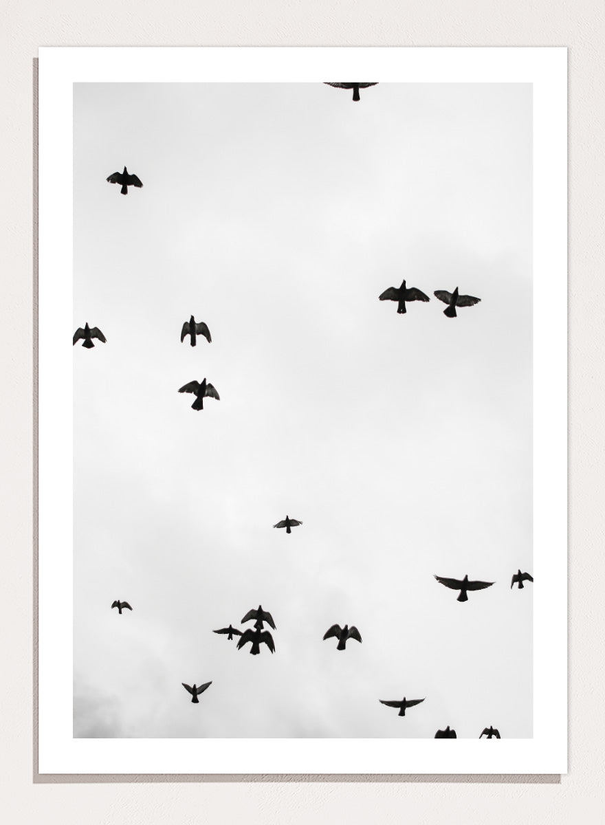 A framed black and white art print depicting a flock of birds flying across a cloudy sky, presented in a minimalist look. Birds in Flight by Shot by Clint black-and-white bird photography print featuring a scattered flock, open sky, and graphic silhouettes in motion.