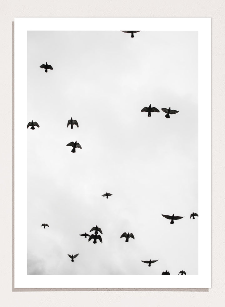 A framed black and white art print depicting a flock of birds flying across a cloudy sky, presented in a minimalist look. Birds in Flight by Shot by Clint black-and-white bird photography print featuring a scattered flock, open sky, and graphic silhouettes in motion.