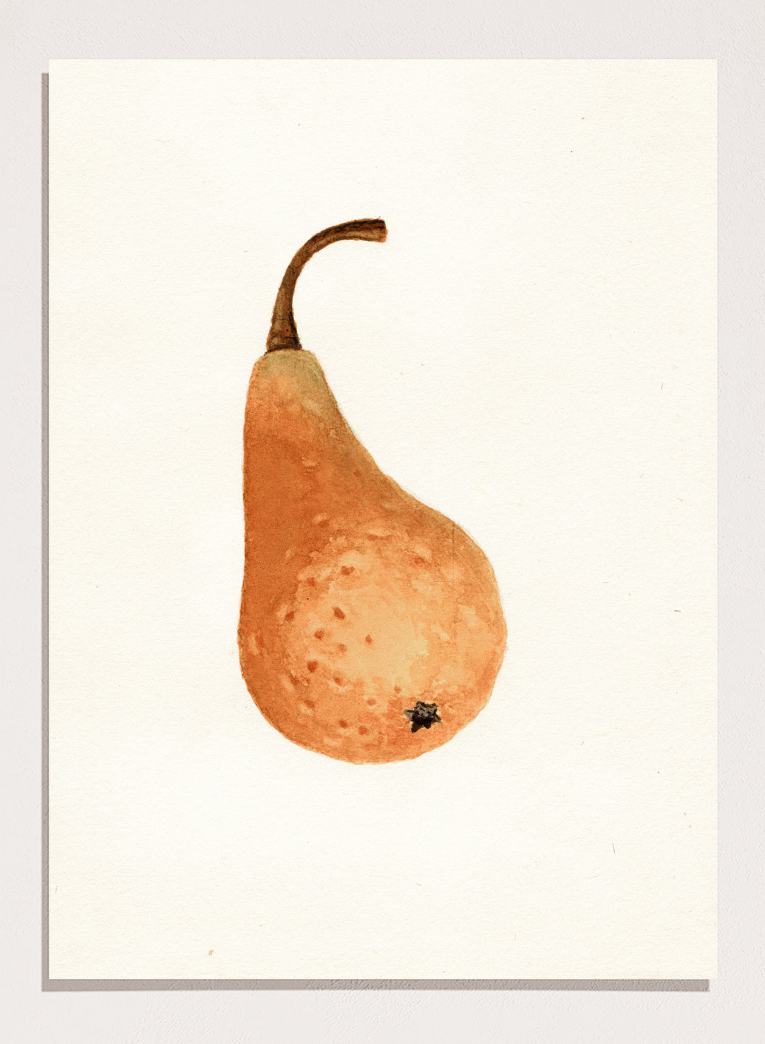 "Bosc Pear" Art Print