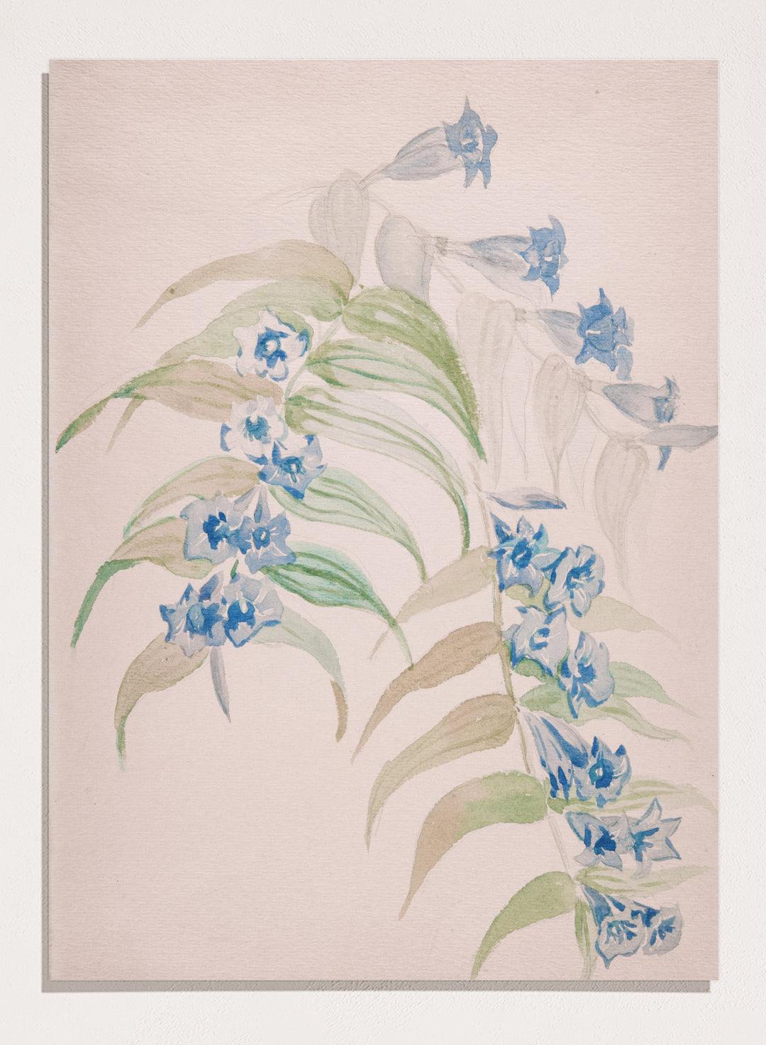 "Twigs with Blue Flowers" Art Print
