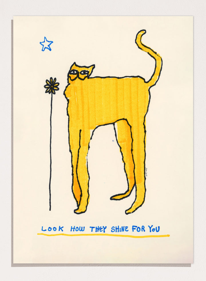 Yellow cat illustration with a flower and text on a beige background. Look How They Shine for You by Eden Kalif is a modern cat art print in yellow with text, a contemporary minimalist wall poster with playful form and expressive line work.
